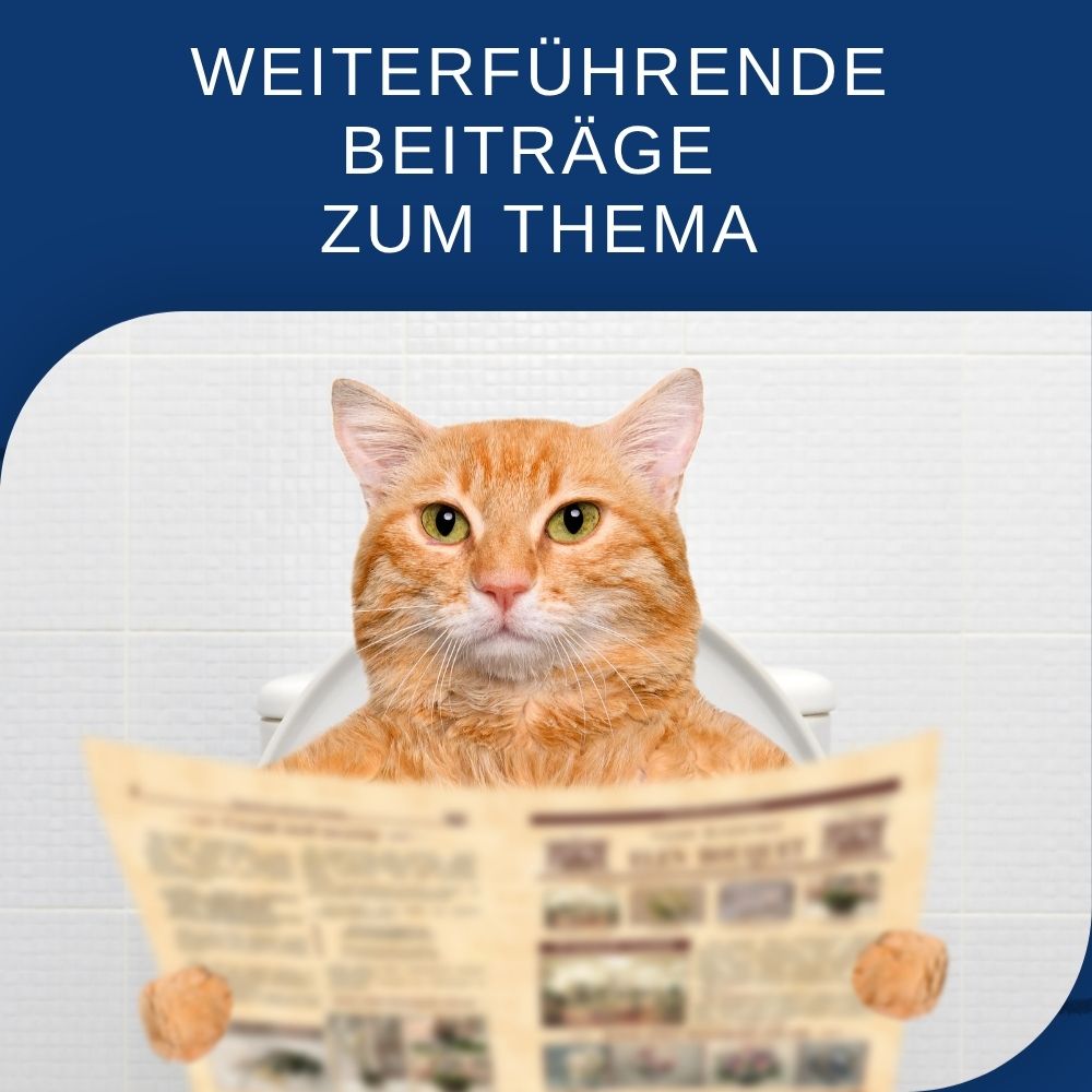 Vertriebsmitarbeiter einstellen, die wirklich verkaufen
